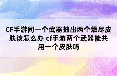 CF手游同一个武器抽出两个燃尽皮肤该怎么办 cf手游两个武器能共用一个皮肤吗